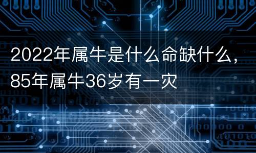 2022年属牛是什么命缺什么，85年属牛36岁有一灾