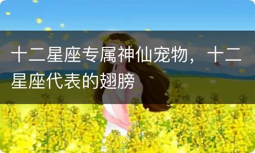 十二星座专属神仙宠物，十二星座代表的翅膀