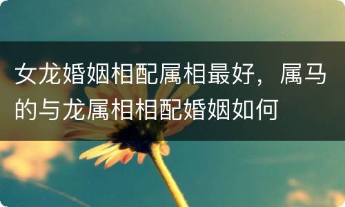 女龙婚姻相配属相最好，属马的与龙属相相配婚姻如何