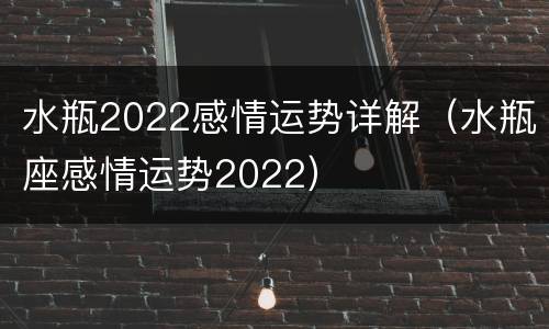 水瓶2022感情运势详解（水瓶座感情运势2022）
