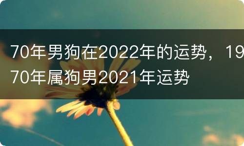 70年男狗在2022年的运势，1970年属狗男2021年运势