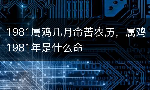 1981属鸡几月命苦农历，属鸡1981年是什么命