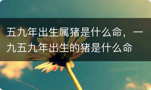 五九年出生属猪是什么命，一九五九年出生的猪是什么命