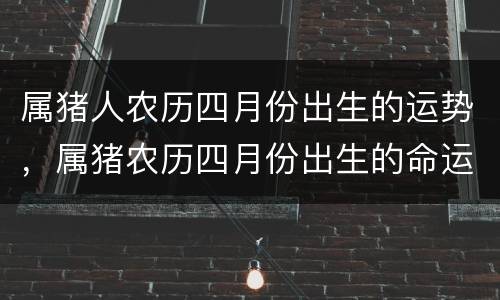 属猪人农历四月份出生的运势，属猪农历四月份出生的命运