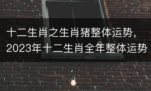 十二生肖之生肖猪整体运势，2023年十二生肖全年整体运势大全