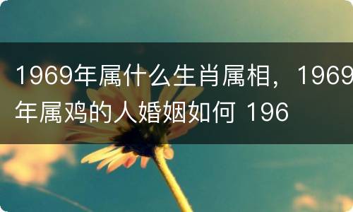 1969年属什么生肖属相，1969年属鸡的人婚姻如何 196