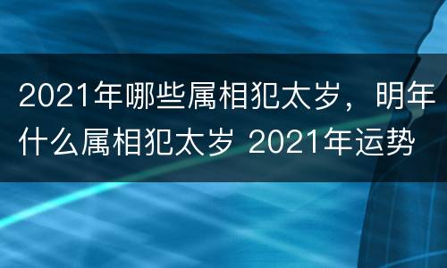 2021年哪些属相犯太岁，明年什么属相犯太岁 2021年运势
