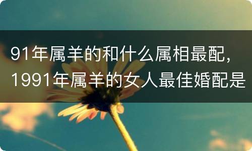 91年属羊的和什么属相最配，1991年属羊的女人最佳婚配是什