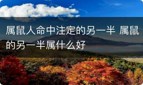 属鼠人命中注定的另一半 属鼠的另一半属什么好