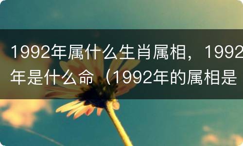 1992年属什么生肖属相，1992年是什么命（1992年的属相是什么生肖）