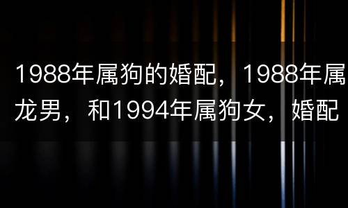 1988年属狗的婚配，1988年属龙男，和1994年属狗女，婚配好吗，