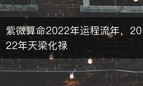 紫微算命2022年运程流年，2022年天梁化禄