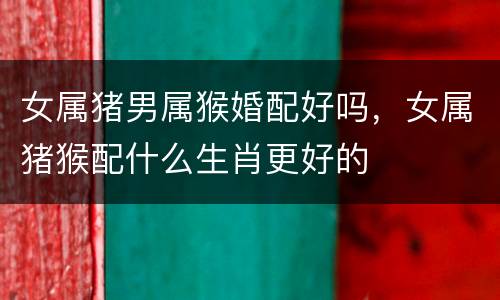 女属猪男属猴婚配好吗，女属猪猴配什么生肖更好的