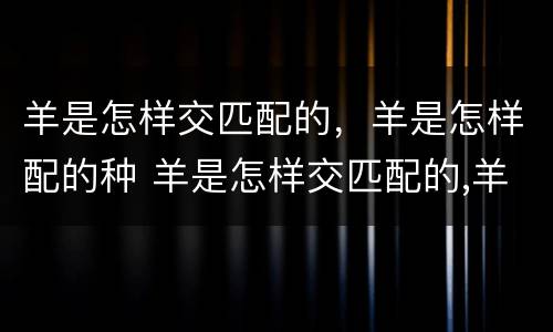 羊是怎样交匹配的，羊是怎样配的种 羊是怎样交匹配的,羊是怎样配的种类