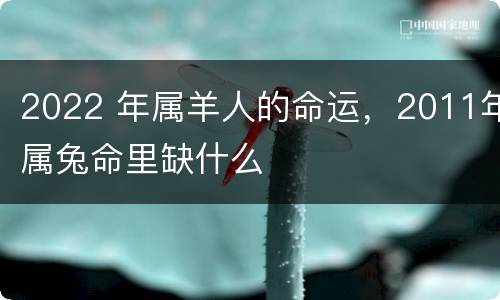 2022 年属羊人的命运，2011年属兔命里缺什么