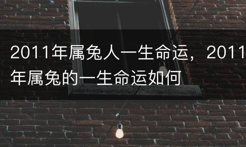 2011年属兔人一生命运，2011年属兔的一生命运如何