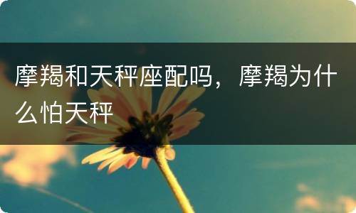 摩羯和天秤座配吗，摩羯为什么怕天秤