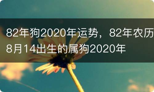 82年狗2020年运势，82年农历8月14出生的属狗2020年