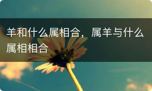 羊和什么属相合，属羊与什么属相相合