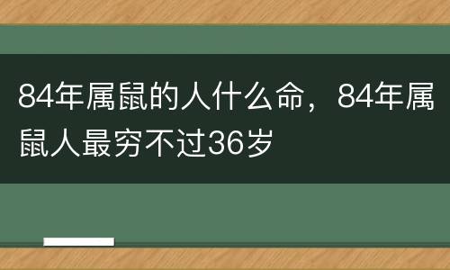 84年属鼠的人什么命，84年属鼠人最穷不过36岁