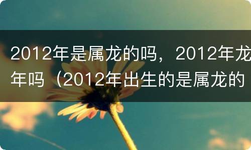 2012年是属龙的吗，2012年龙年吗（2012年出生的是属龙的吗）