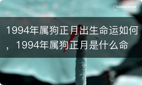 1994年属狗正月出生命运如何，1994年属狗正月是什么命