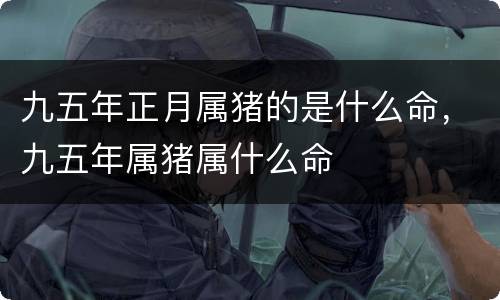 九五年正月属猪的是什么命，九五年属猪属什么命