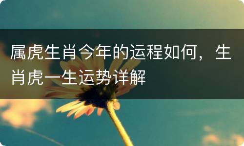属虎生肖今年的运程如何，生肖虎一生运势详解