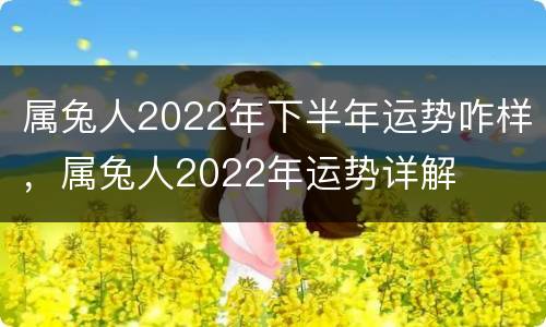 属兔人2022年下半年运势咋样，属兔人2022年运势详解