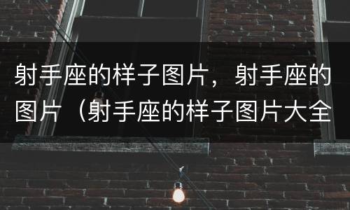 射手座的样子图片，射手座的图片（射手座的样子图片大全）