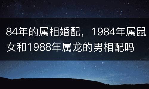 84年的属相婚配，1984年属鼠女和1988年属龙的男相配吗