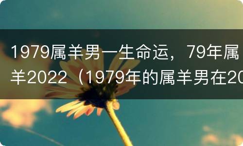 1979属羊男一生命运，79年属羊2022（1979年的属羊男在2022怎么样）