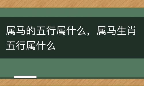 属马的五行属什么，属马生肖五行属什么