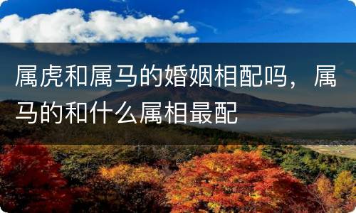 属虎和属马的婚姻相配吗，属马的和什么属相最配