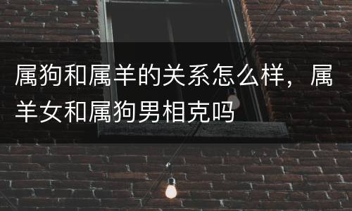属狗和属羊的关系怎么样，属羊女和属狗男相克吗