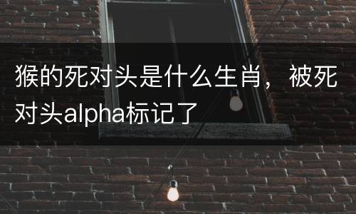 猴的死对头是什么生肖，被死对头alpha标记了