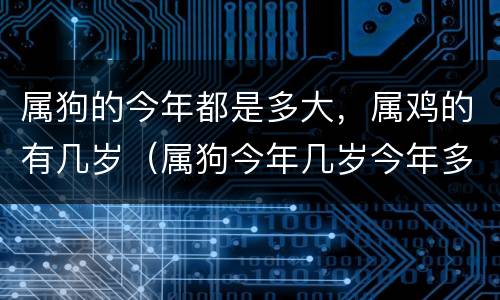 属狗的今年都是多大，属鸡的有几岁（属狗今年几岁今年多大）