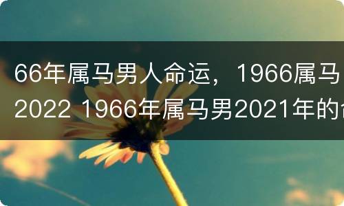66年属马男人命运，1966属马2022 1966年属马男2021年的命运
