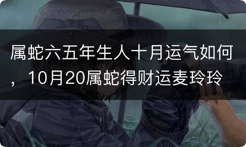 属蛇六五年生人十月运气如何，10月20属蛇得财运麦玲玲