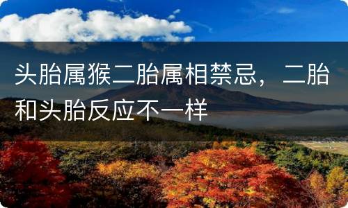 头胎属猴二胎属相禁忌，二胎和头胎反应不一样
