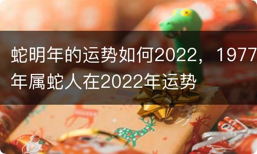 蛇明年的运势如何2022，1977年属蛇人在2022年运势