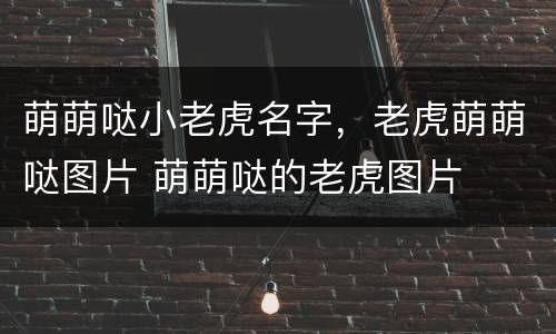萌萌哒小老虎名字，老虎萌萌哒图片 萌萌哒的老虎图片