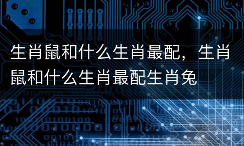 生肖鼠和什么生肖最配，生肖鼠和什么生肖最配生肖兔