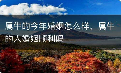 属牛的今年婚姻怎么样，属牛的人婚姻顺利吗