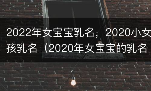2022年女宝宝乳名，2020小女孩乳名（2020年女宝宝的乳名）