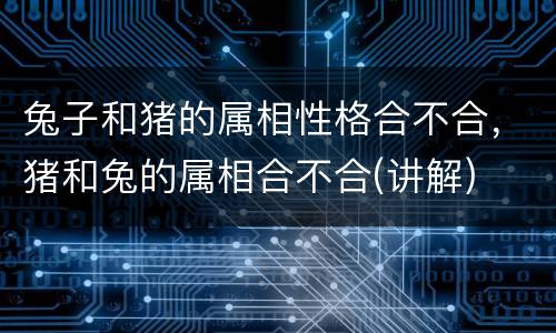 兔子和猪的属相性格合不合，猪和兔的属相合不合(讲解)