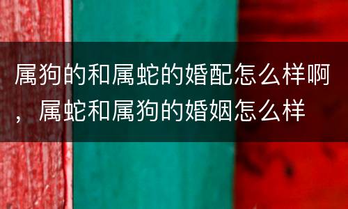 属狗的和属蛇的婚配怎么样啊，属蛇和属狗的婚姻怎么样
