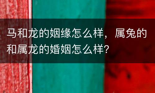 马和龙的姻缘怎么样，属兔的和属龙的婚姻怎么样？