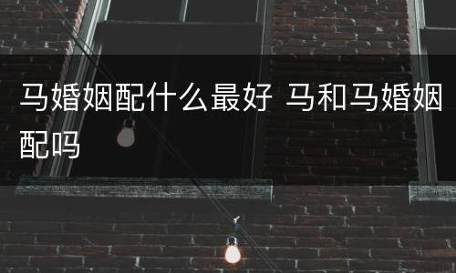 马婚姻配什么最好 马和马婚姻配吗