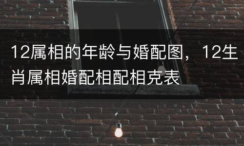 12属相的年龄与婚配图，12生肖属相婚配相配相克表